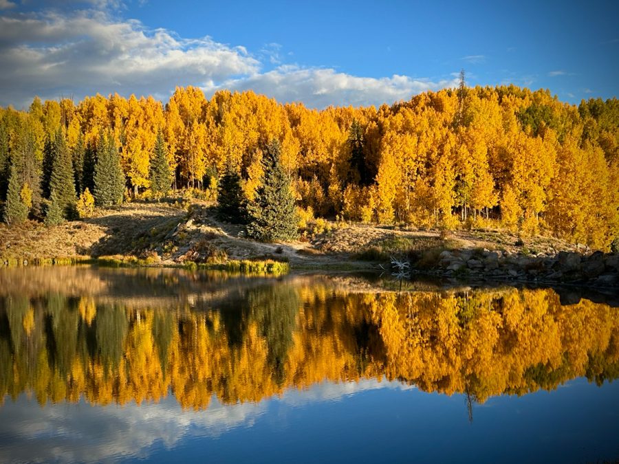 Deer Lakes Reflection Golden Aspens