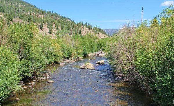 Cebolla Creek, CO: Welcome to Brown Town, USA - American Fly Fishing